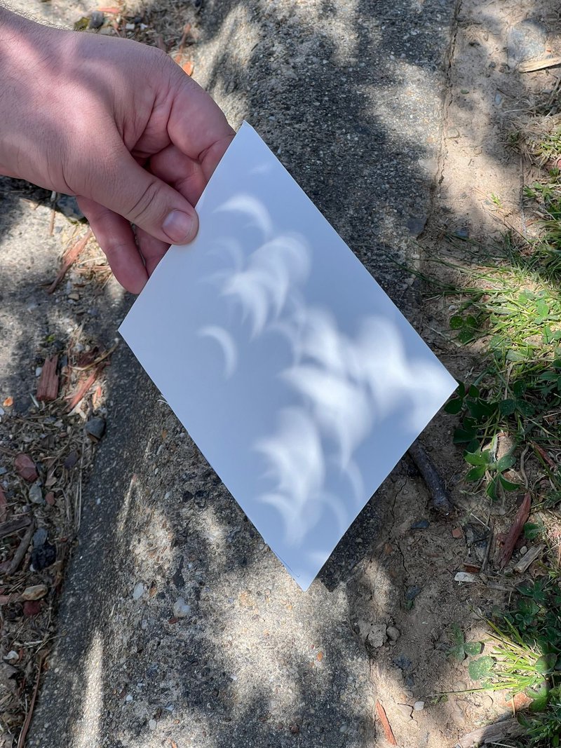 Tree foliage acting as a bunch of pinhole cameras showing the crescent sun. Photo by Jari Saukkonen. Photo the crescent sun projected onto a piece of cardstock